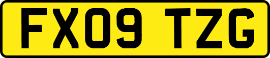 FX09TZG