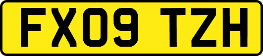 FX09TZH