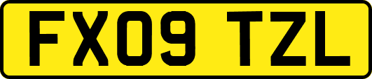 FX09TZL
