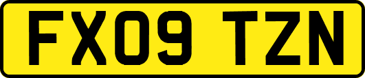 FX09TZN