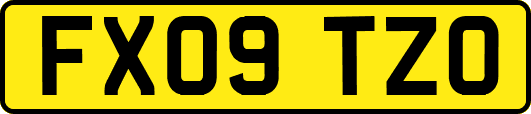 FX09TZO