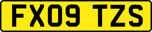 FX09TZS