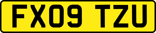 FX09TZU