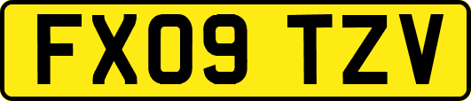 FX09TZV