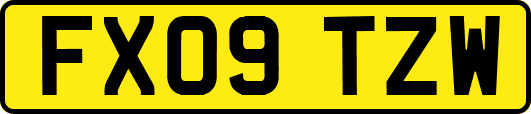 FX09TZW