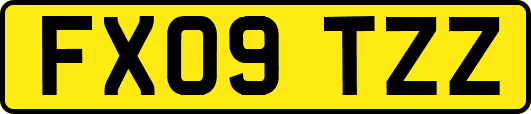 FX09TZZ