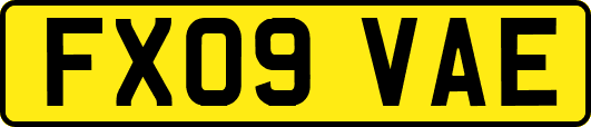 FX09VAE
