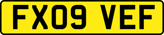 FX09VEF