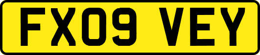 FX09VEY