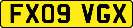 FX09VGX