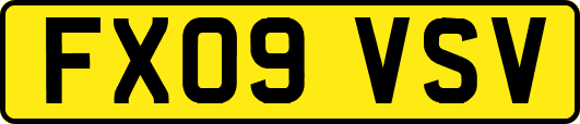 FX09VSV
