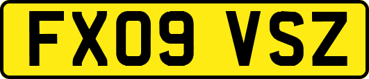 FX09VSZ
