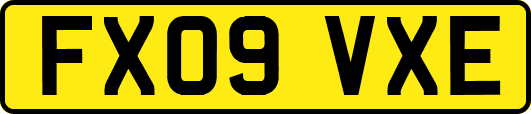 FX09VXE