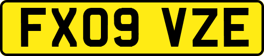 FX09VZE