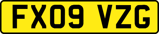 FX09VZG