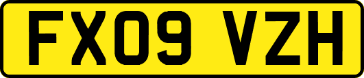FX09VZH