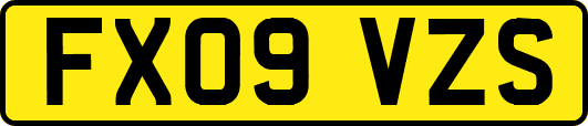 FX09VZS