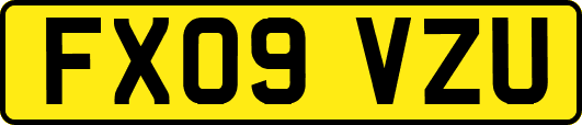 FX09VZU