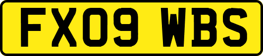 FX09WBS