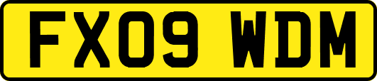 FX09WDM