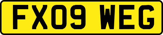 FX09WEG