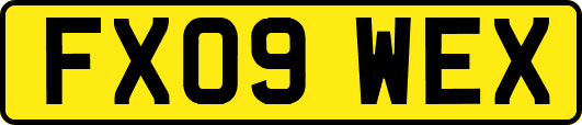FX09WEX