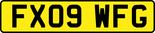 FX09WFG