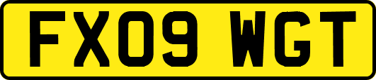 FX09WGT