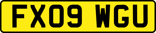 FX09WGU
