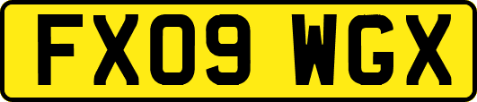 FX09WGX