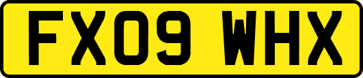 FX09WHX