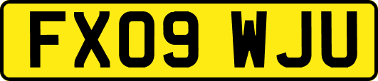 FX09WJU