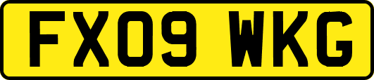 FX09WKG