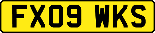 FX09WKS