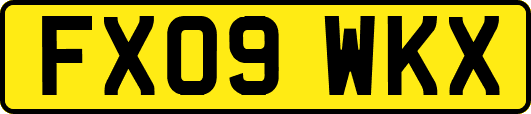 FX09WKX