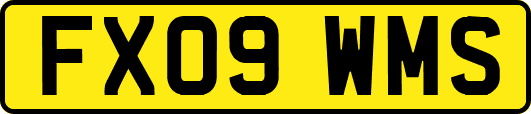 FX09WMS