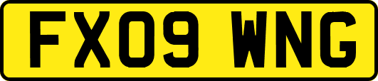 FX09WNG