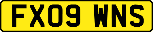 FX09WNS