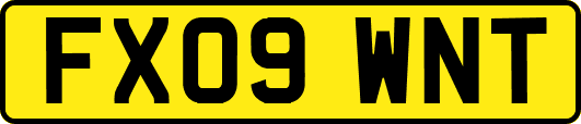 FX09WNT