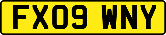 FX09WNY
