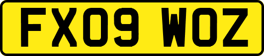 FX09WOZ