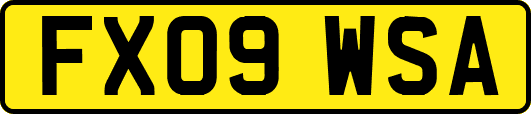 FX09WSA