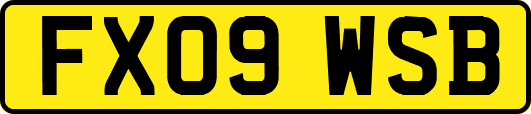 FX09WSB
