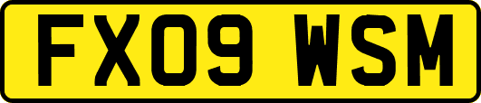 FX09WSM