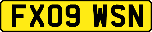 FX09WSN