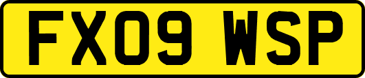 FX09WSP