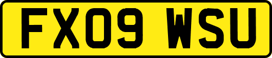 FX09WSU