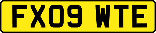 FX09WTE