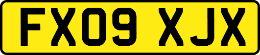 FX09XJX