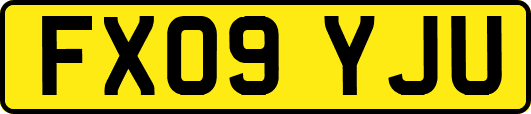 FX09YJU